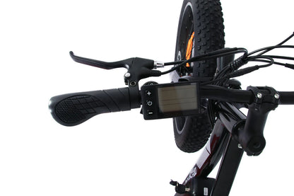 ONESPORT OT15 – Lichtgewicht E-bike met Verwijderbare Accu en Sportieve Look