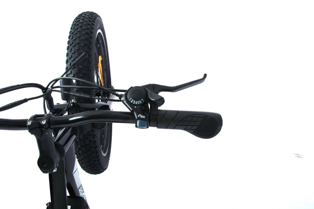 ONESPORT OT15 – Lichtgewicht E-bike met Verwijderbare Accu en Sportieve Look