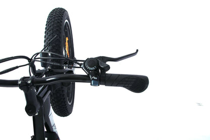 ONESPORT OT15 – Lichtgewicht E-bike met Verwijderbare Accu en Sportieve Look